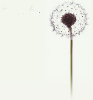 Nace &acute;agora rede, comunidade docente de intercambio