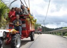 Máis un chimpín, transportando os asistentes ao festival, en 2008