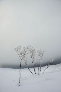 A neve afecta as estradas do leste de Lugo, máis tamén no Deza e en Verín / Flickr:  julioeiroa